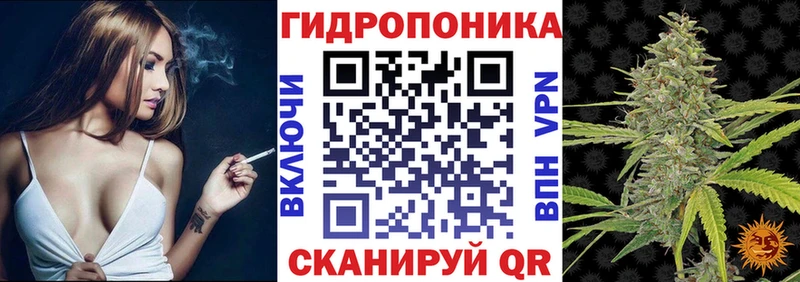 Виды наркотиков купить Губаха Псилоцибиновые грибы  Мефедрон  КОКАИН  Кодеин  Конопля  A PVP  ГАШ 