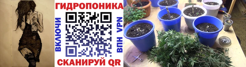 МАРИХУАНА планчик  mega ONION  Губаха  купить наркотики цена 